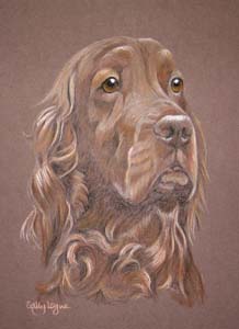 pastel portrait of Irish setter