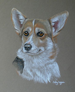 pastel portrait of Corgie - Crunchie