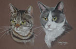 portrait of two Cats - Bits and Bobs