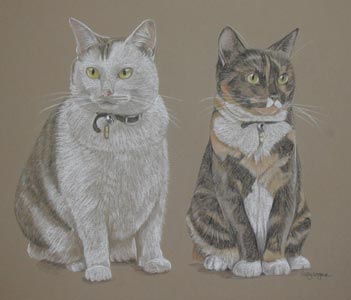 ful length cats portrait - Holly and Gemma