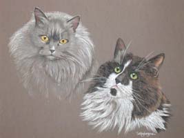  portrait of two long haired cats - Mischief and Fluffy