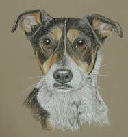 cross breed - Charlie