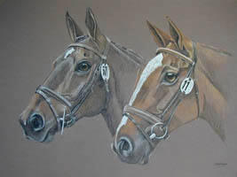 portrait of 2 horses
