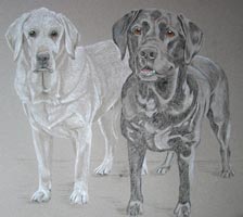 Barney and Elmo - full length portrait