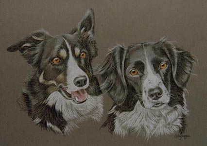 double dog portrait