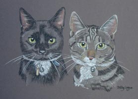 portrait of two cats together - taz and misty