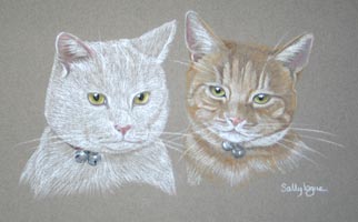 double cat portrait Clint and Bertie