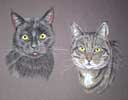 portrait of 2 cats - Darcy and Meg