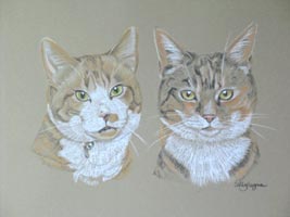 cats - Flossie and George