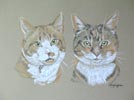 cats - Flossie and George