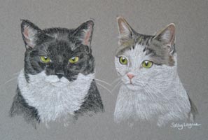 portrait of 2 cats - Gollum and Trouble
