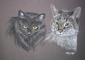 cats _ Shadow and midnite