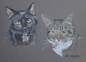 portriat of two cats together - Sooty and Sweep