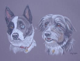 collies - bessie and jet