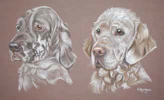 Poppy and Ruby _ English Setters