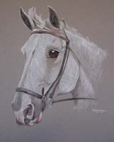  white pony - Jaydene's portrait