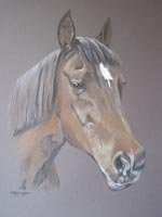 horse_portrait - Royale