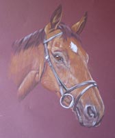 horse portrait - Swallow