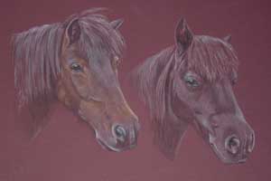 ponies _ Dusty and Misty