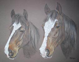  2 horses