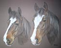 double horse head study