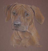 ridgeback - Ellie