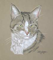 cat portraits - Tubby