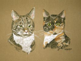 jimmy and Mitzi - double cat portrait