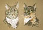 Jimmy and Mitzi - double cat portrait