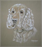 lemon cocker spaniel - Mansel