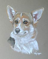 corgie portrait - Crunchie