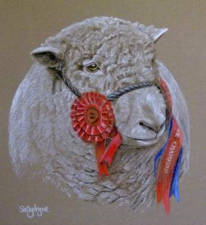 Sutherland Dan - Southdown Ram 