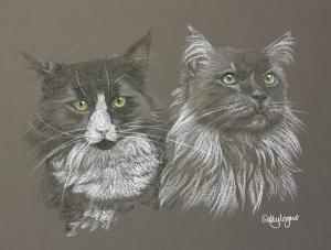 Diago and Mally - mancoon cats