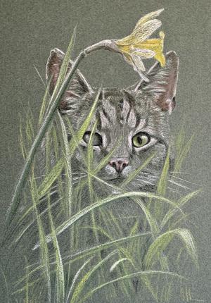 Tommy - blind in one eye