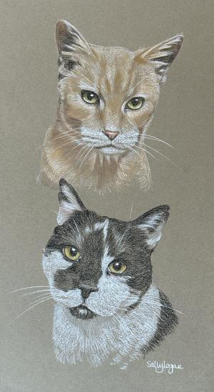 Cats - Amber and Scout