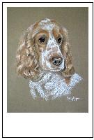 portraits for pets prints by sally logue