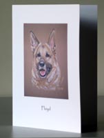 pet portrait greetings cards