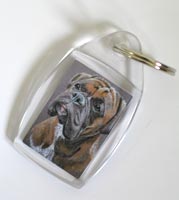 pet portrait on  key rings