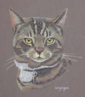 Tabby Cat - Rathbone