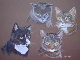 portrait of 4 cats