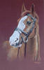 equine art - European 3 day Event gold medalist portrait - Jo Brown -