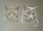portrait of 2 cats - Dennis and Murphy