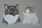portrait of 2 cats - gollum and trouble